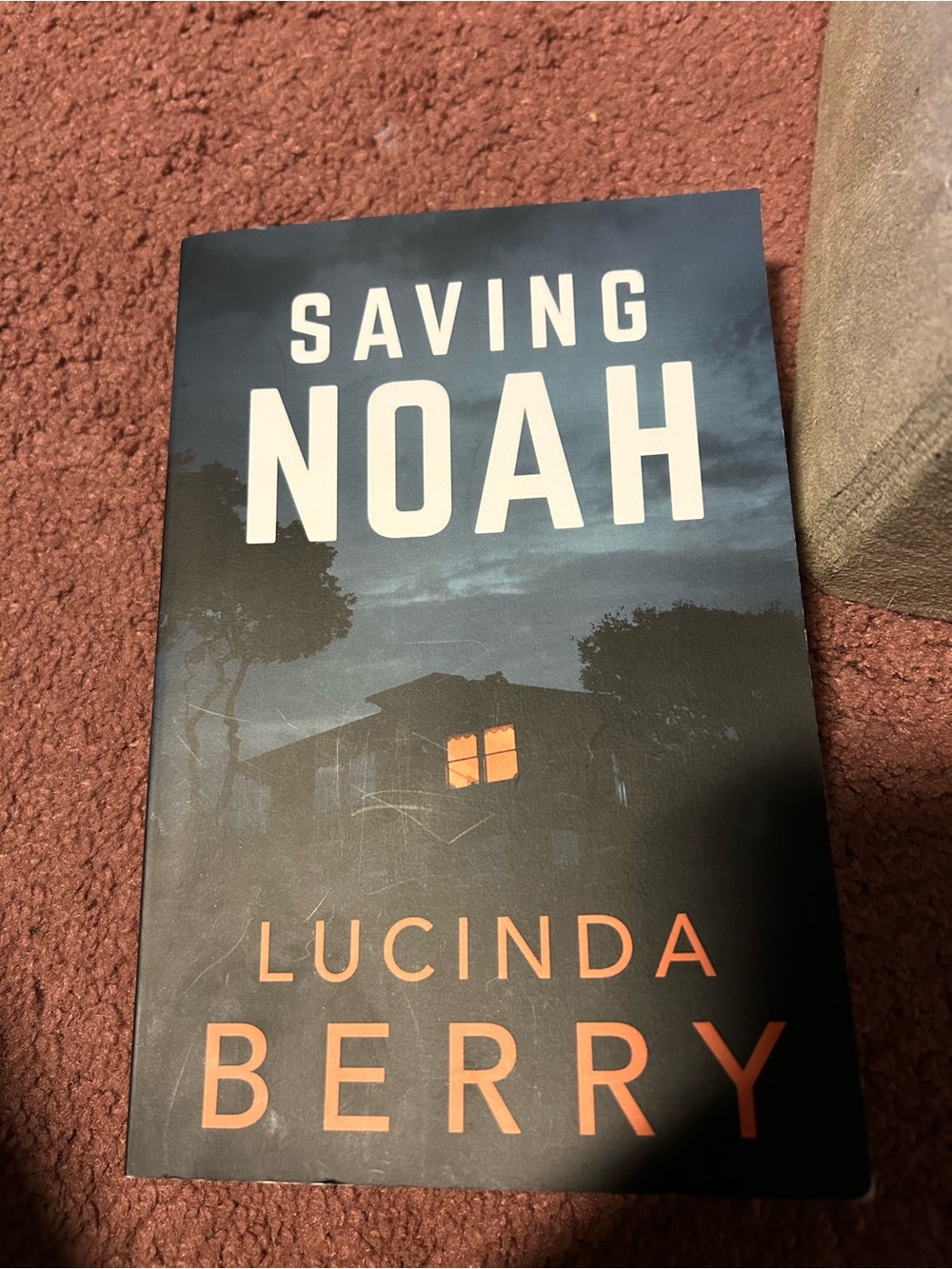 Saving Noah book